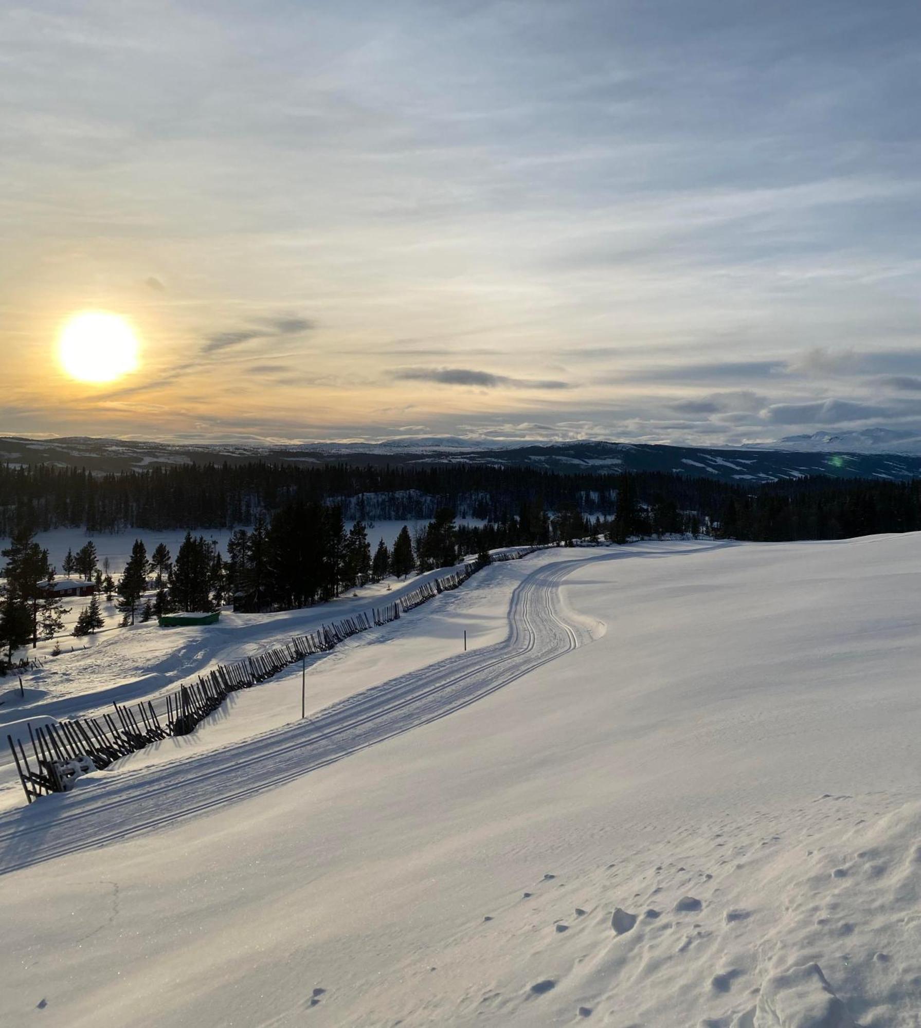 Løstegård Hytter Gol Rom bilde