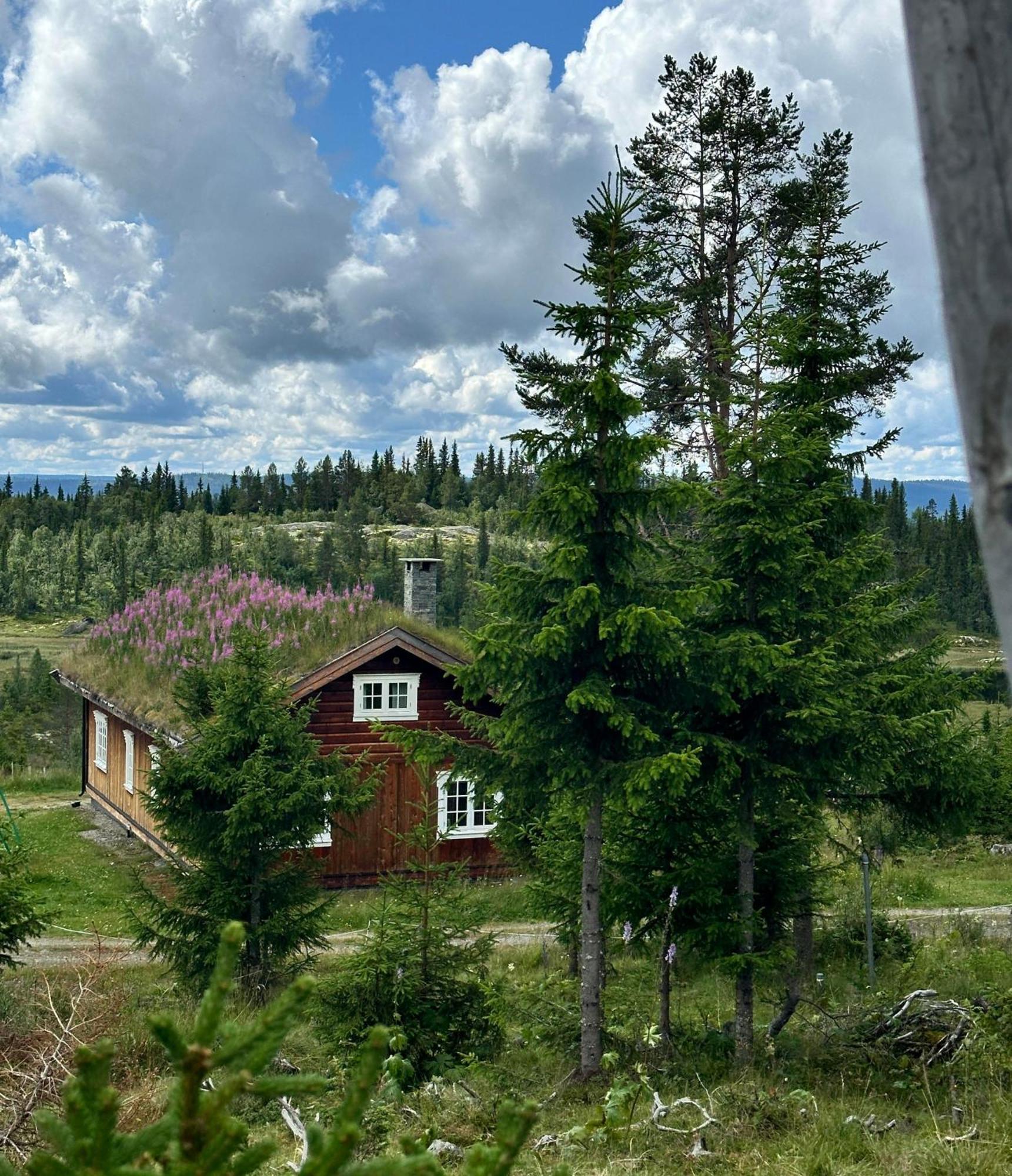 Løstegård Hytter Gol Eksteriør bilde